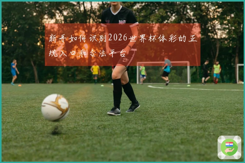 新手如何识别2026世界杯体彩的正规入口和合法平台