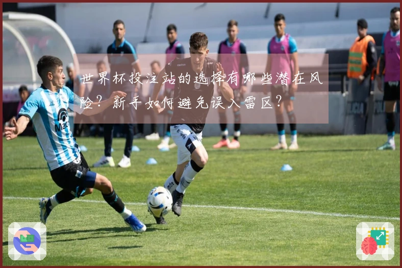世界杯投注站的选择有哪些潜在风险？新手如何避免误入雷区？