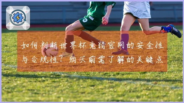 如何判断世界杯竞猜官网的安全性与合规性？购买前需了解的关键点