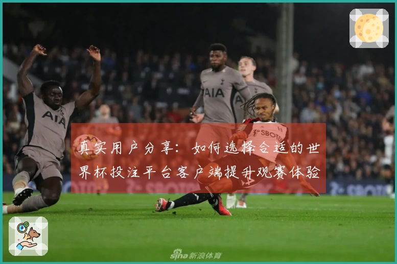 真实用户分享：如何选择合适的世界杯投注平台客户端提升观赛体验