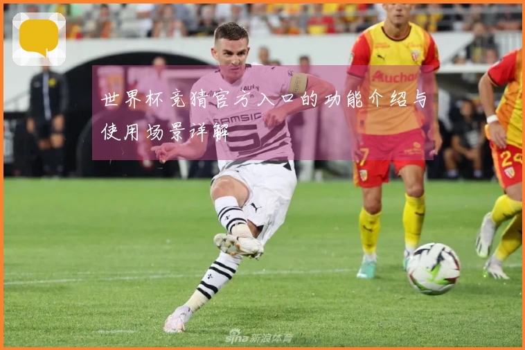 世界杯竞猜官方入口的功能介绍与使用场景详解