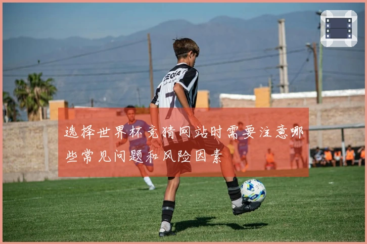 选择世界杯竞猜网站时需要注意哪些常见问题和风险因素