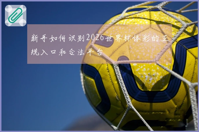 新手如何识别2026世界杯体彩的正规入口和合法平台