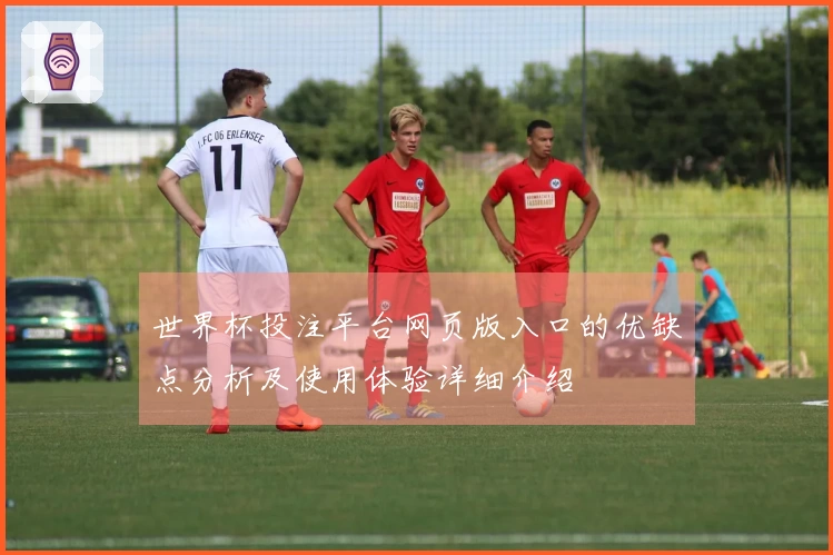 世界杯投注平台网页版入口的优缺点分析及使用体验详细介绍