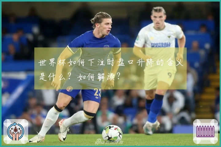 世界杯如何下注时盘口升降的含义是什么？如何解读？