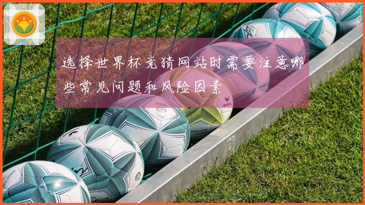 选择世界杯竞猜网站时需要注意哪些常见问题和风险因素