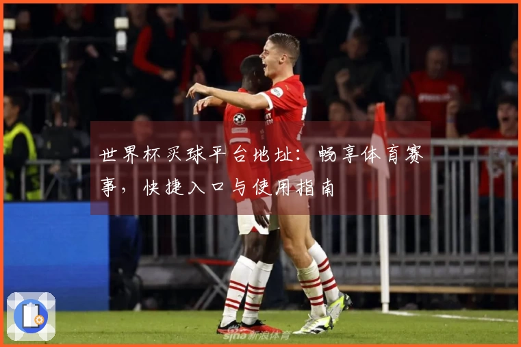 世界杯买球平台地址：畅享体育赛事，快捷入口与使用指南