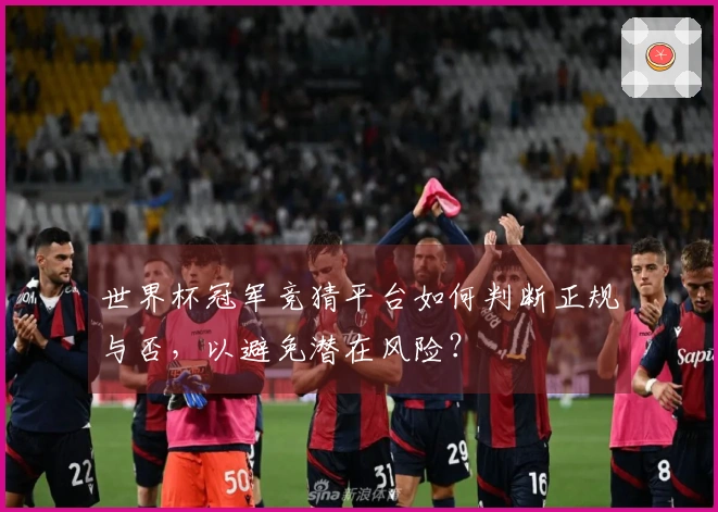 世界杯冠军竞猜平台如何判断正规与否，以避免潜在风险？